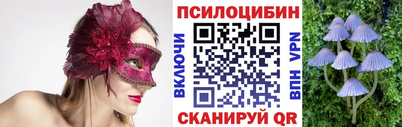 Галлюциногенные грибы Psilocybe  как найти закладки  Гудермес 